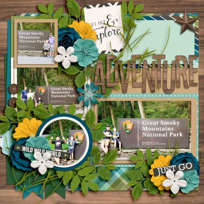 Smokey Mountain Trip