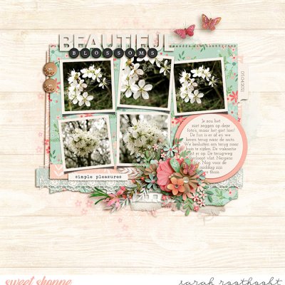 Beautiful Blossoms