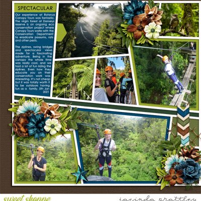 Forest Adventures 1
