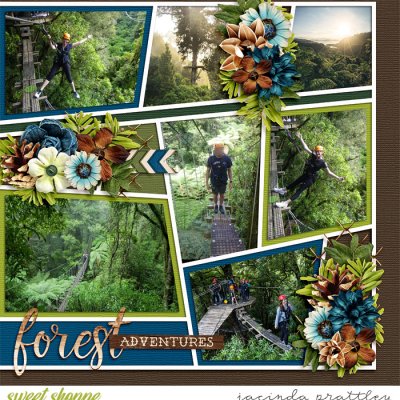 Forest Adventures 2