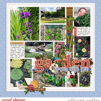 Garden journal June 15-21 02
