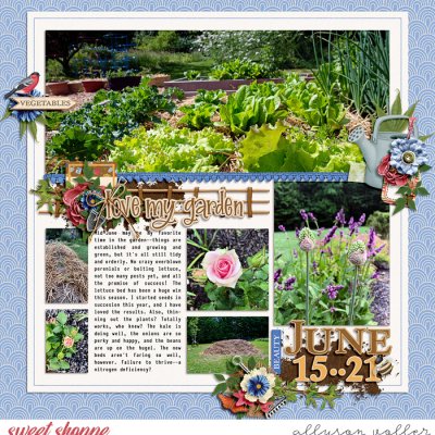 Garden journal June 15-21 01