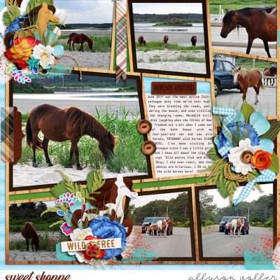 Wild Spirit 2011 left