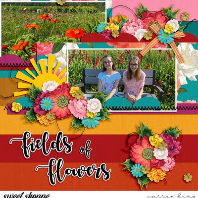 Fields of Flowers