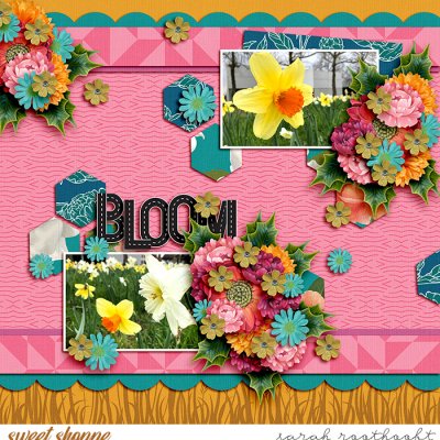 Bloom