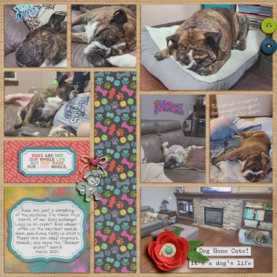 Dog Gone Cute