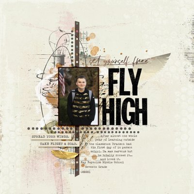 Fly High