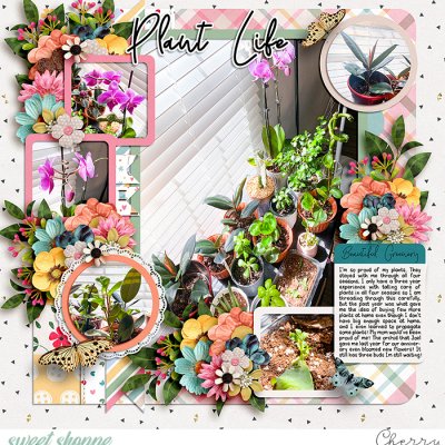 Plant Life