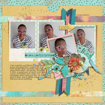 iNSD 2021 Template Challenge: Limited Edition