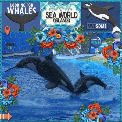 Sea World Orlando