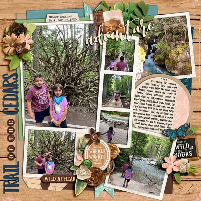 Trail of the Cedars