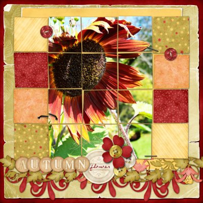 Autumn Flower