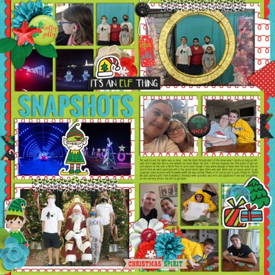 Snapshots of Christmas Visit
