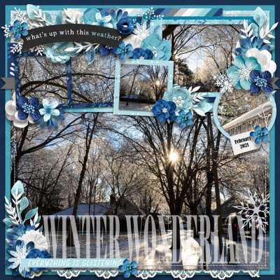 Winter Wonderland