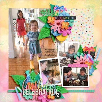 Birthday Celebration