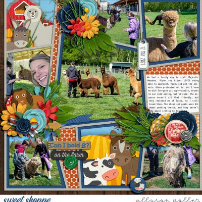 Day at the Farm left