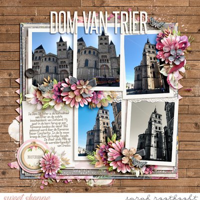 Dom Van Trier