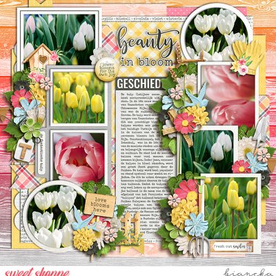 love blooms here