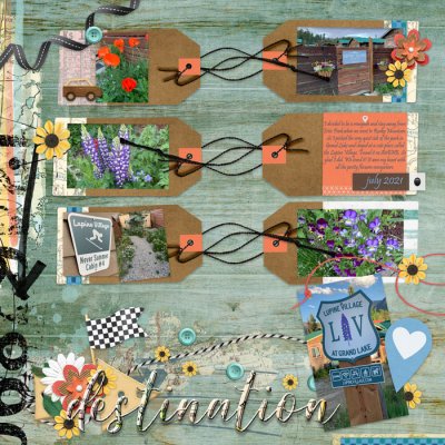 Lupine Village July 2019