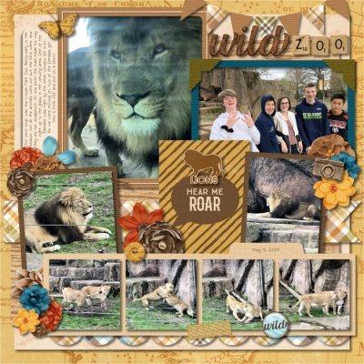 3 - Wild Zoo