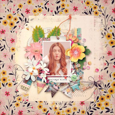 spd-alwaysblooming-TRACY