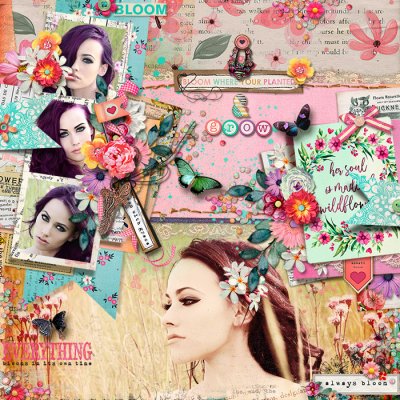 Bloom