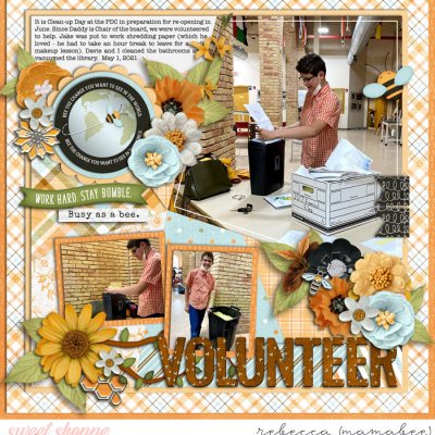 PDC clean up volunteer