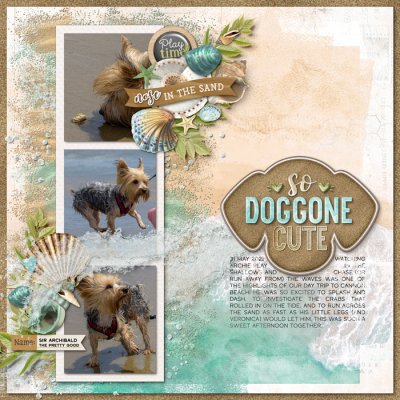 So Doggone Cute