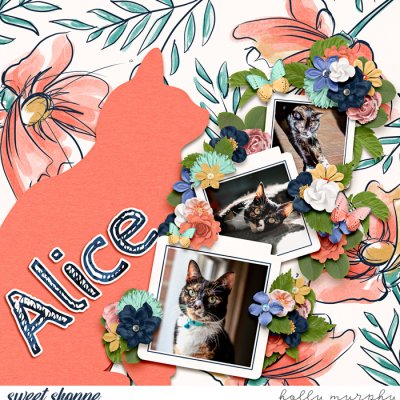 Alice
