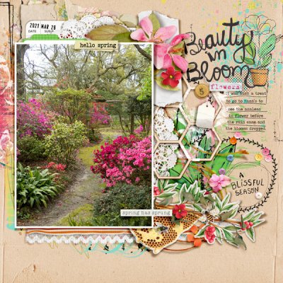 Beauty In Bloom
