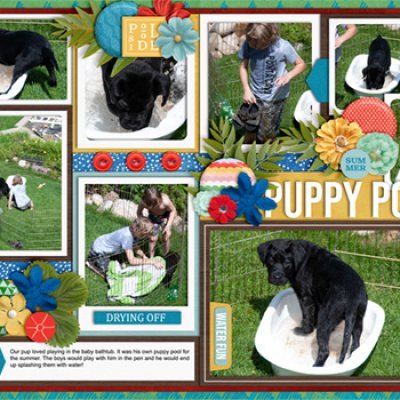 Puppy Pool