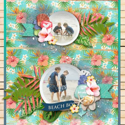 Beach Boys