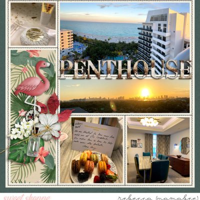 penthouse - right