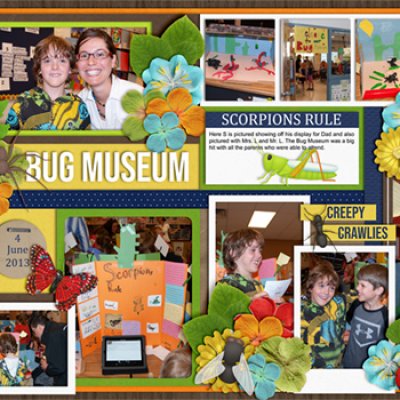 Bug Museum