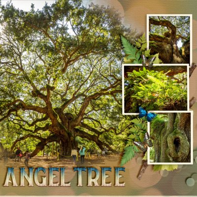 Angel Tree