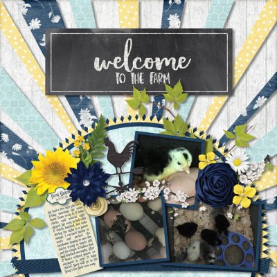 Welcome to the Farm
