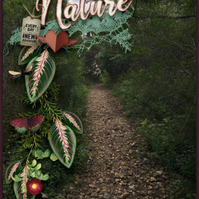 Nature19
