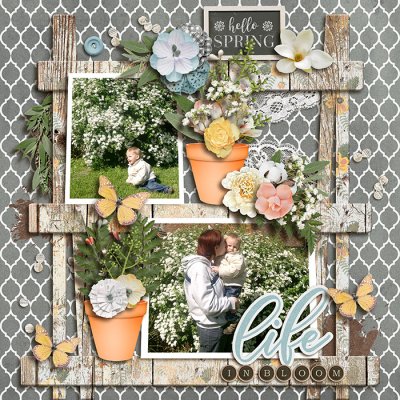 Life in bloom