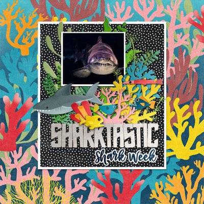 eekasharkTRACY