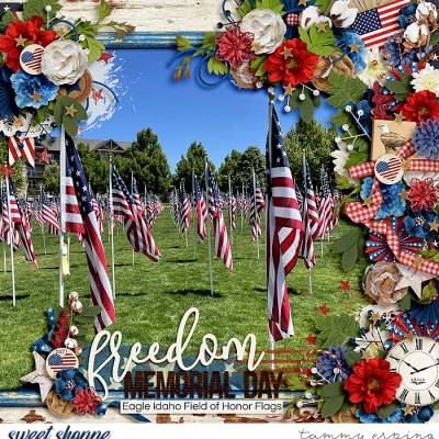 freedom