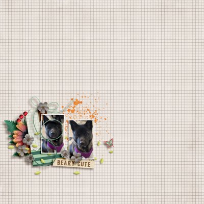 Beary Cute
