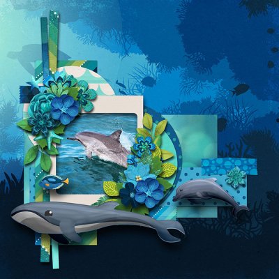 Ocean