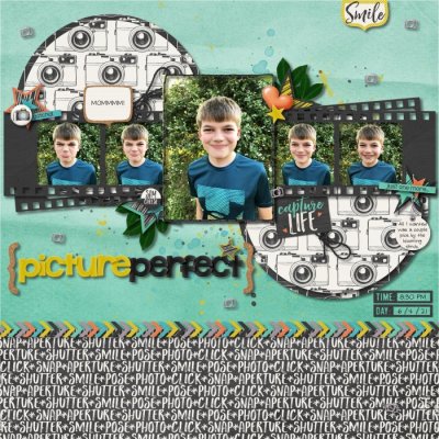 Picture Perfect