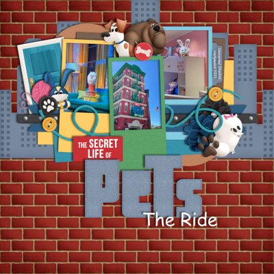 Amsterdam- Life of Pets