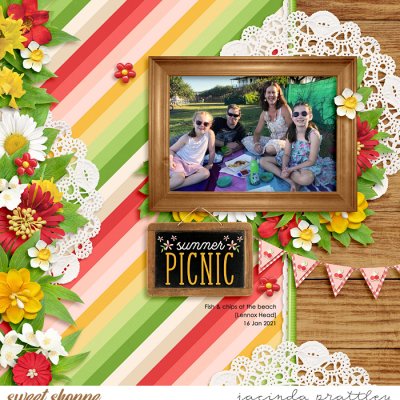Summer picnic