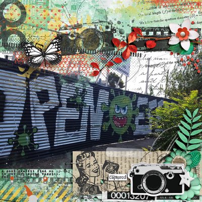 Graffiti finds