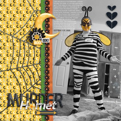 Murder Hornet