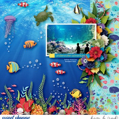 Underwater Adventure