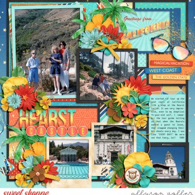 Hearst Castle 1989