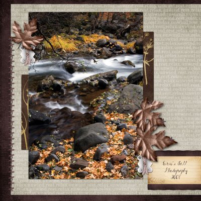 Fall Photography